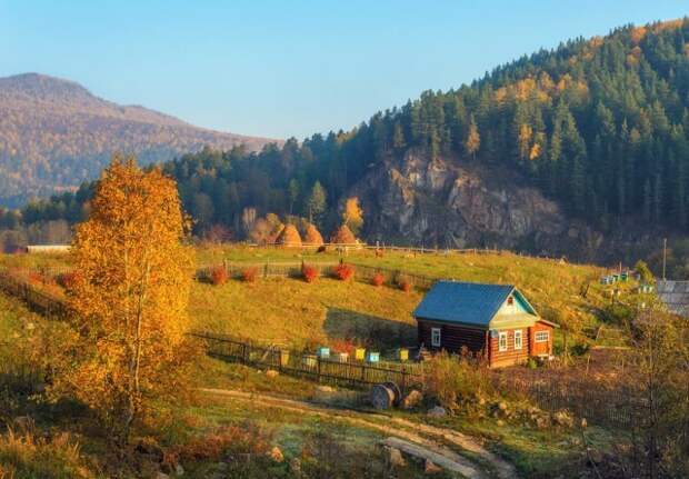 Осень в деревне Осень, Деревня, Природа, Красота, Фотография, Длиннопост