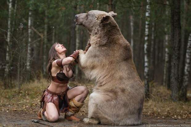 Медведь Степан – живое воплощение стереотипов о России