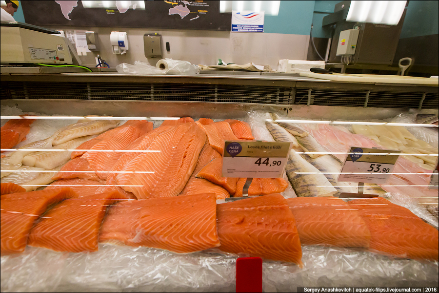 Удивительные цены на продукты в супермаркете Праги