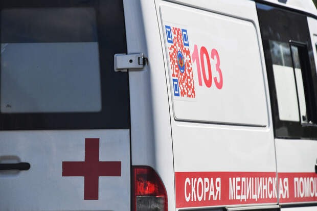 Москвичка съела арбуз из «Фруктового рая» и умерла. Дело было не в ягоде