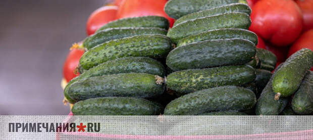 Может ли генетически модифицированная пища нанести нам вред?