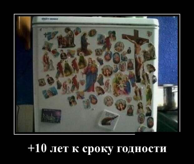 Демотиваторы (30 фото)