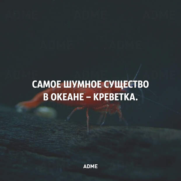 25 коротких фактов о нашем мире