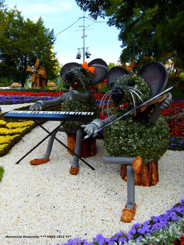 Выставка цветов 2012 в Киеве.