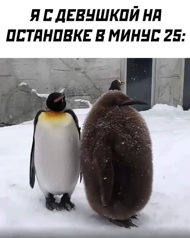 Смешные картинки 1 ноября 2021 года
