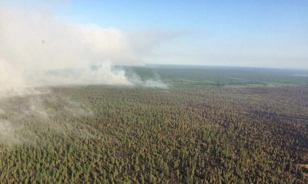 В ЯНАО для ликвидации 11 лесных пожаров задействовали автомобили, тракторы и вертолеты