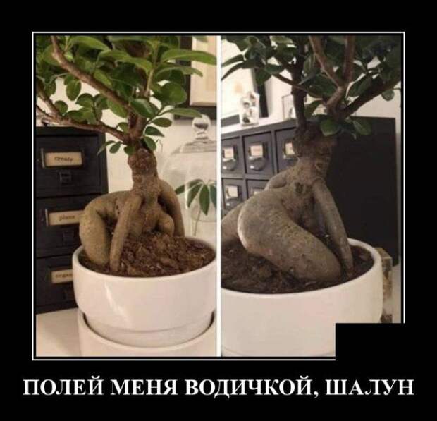 demotivatory-demotivator-smeshnye-demotivatory-demotivator-so-smyslom demotivatory-demotivator-smeshnye-demotivatory-demotivator-so-smyslom