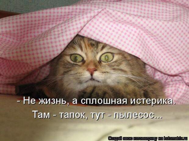 Мысли вслух :)