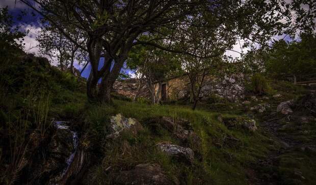 Экологи сообщили, что компании должны содействовать в озеленении городов