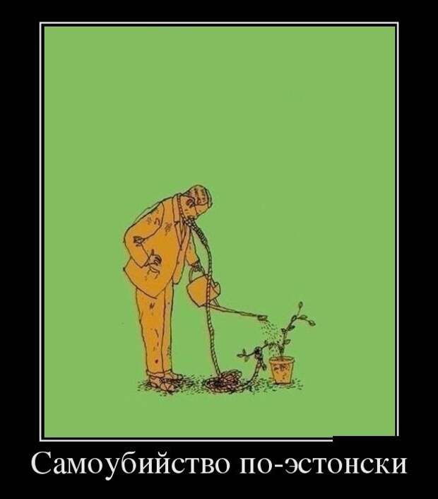Демотиваторы (30 фото)