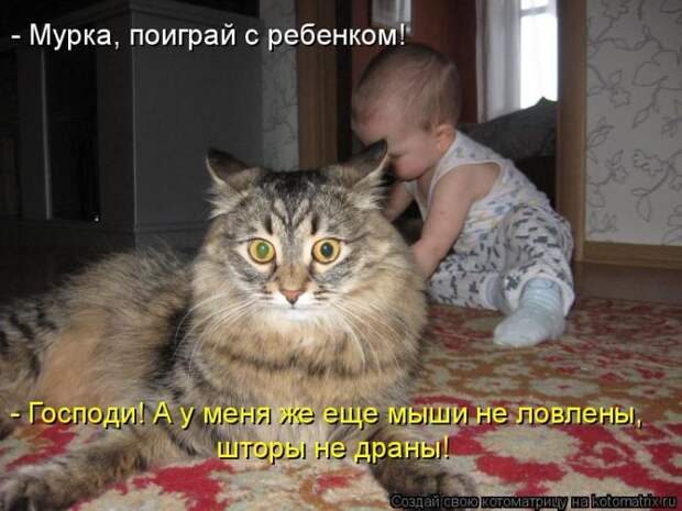 Забавные котоматрицы