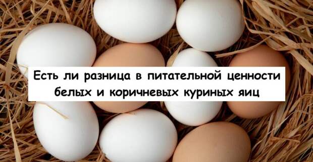 Есть ли разница в питательной ценности белых и коричневых куриных яиц