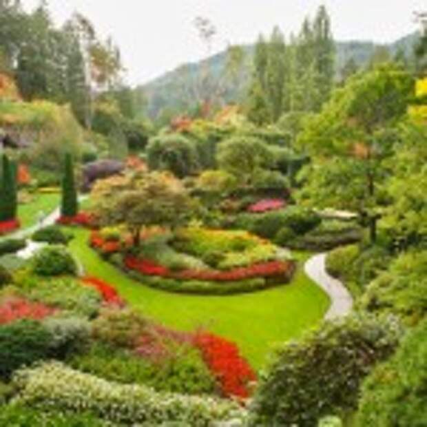 The Sunken-garden on island Vancouver