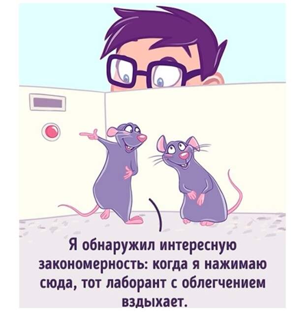 Запутанность эксперимента Запутанность эксперимента