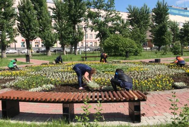 Идет посадка цветов / Фото со странички Сергея Никитина в социальной сети Фейсбук