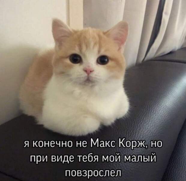 Мемы и приколы про &quot;это&quot;