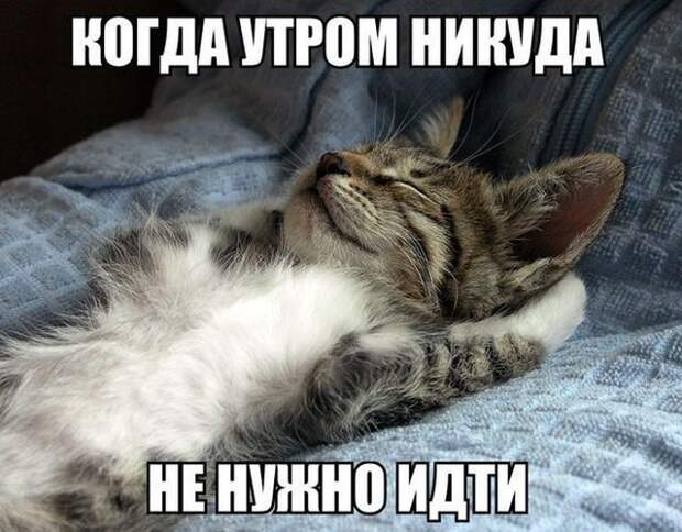 Нотка юмора для прекрасного вечера