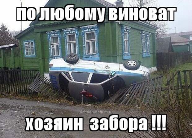 Забавные картинки с надписями для веселья (12 фото) Забавные картинки с надписями для веселья (12 фото)