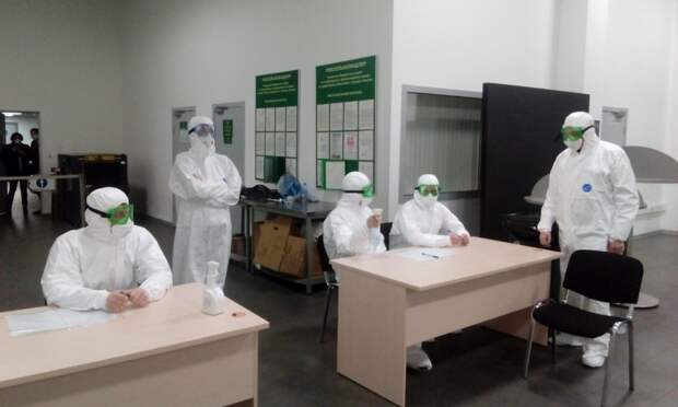 С начала мая спасатели встретили в аэропортах столицы более двух с половиной тысяч пассажиров alt