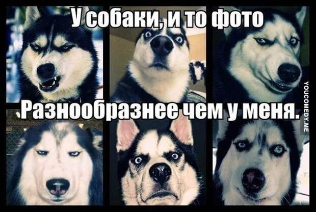 Картинки с забавными подписями