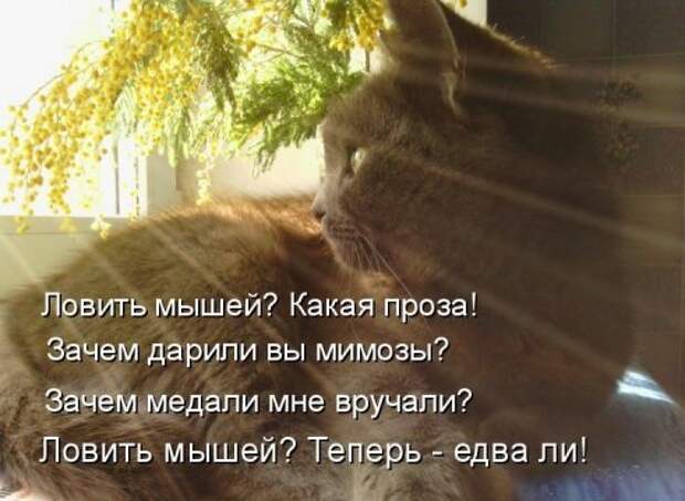 Субботний позитивчик (30 фото)