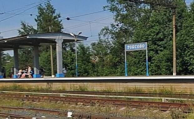 Борис Вишневский хочет получить откат от реставраторов токсовского вокзала