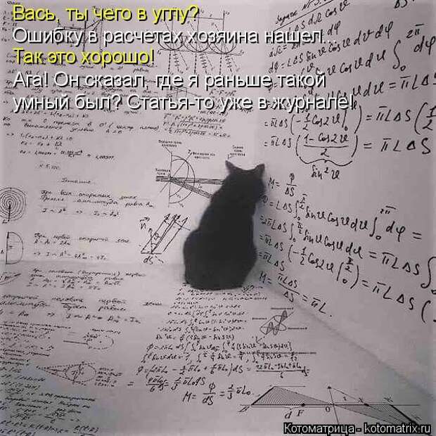 Лучшие котоматрицы недели (50 фото)