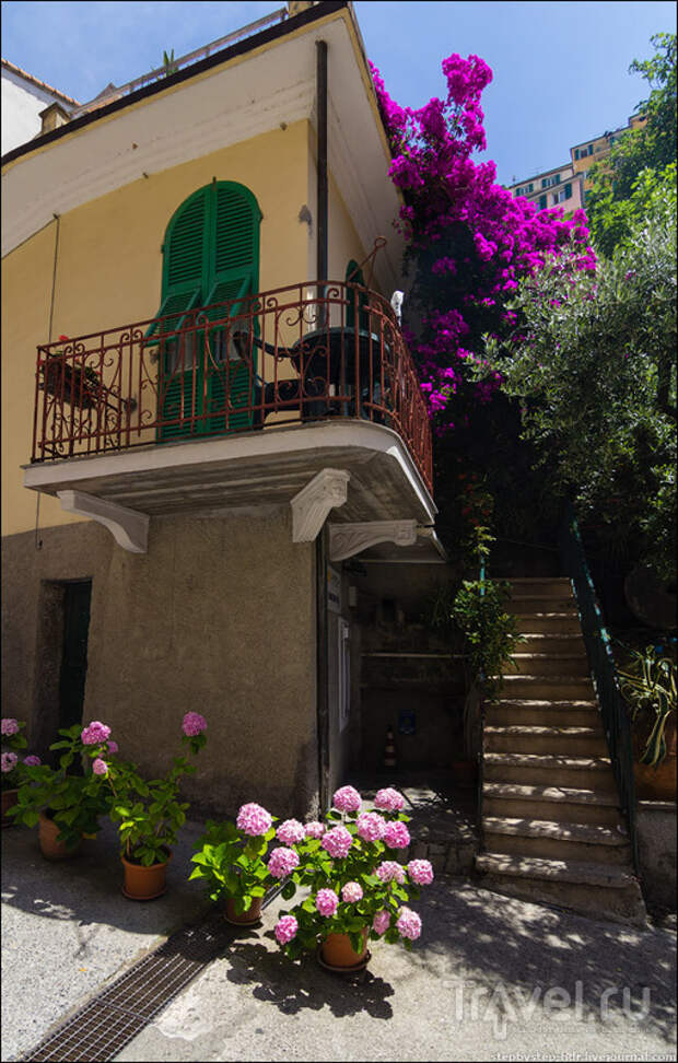 Manarola - прогулка по городу / Фото из Италии