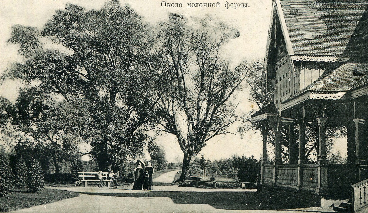 Дореволюционная Старая Русса на открытках и фотографиях и немного об археологии