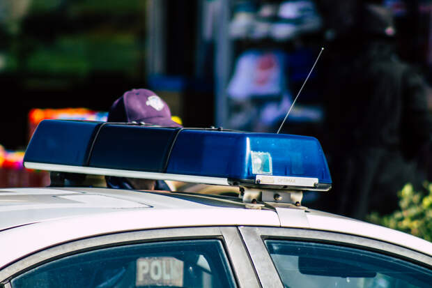 Рядом со школой нашли два чемодана с останками девочек