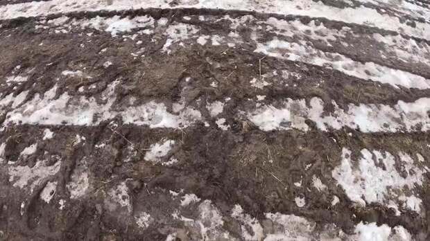 Российские бойцы взяли в плен группу боевиков ВСУ в Запорожской области