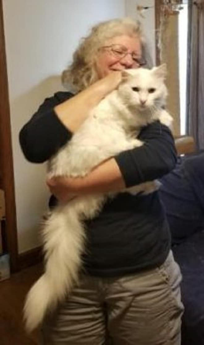 Женщина держит кота Кот на руках