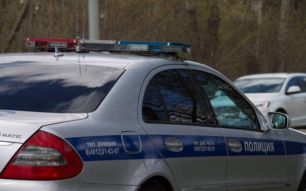 В ГИБДД объяснили массовый проезд полицейских машин в Рязань