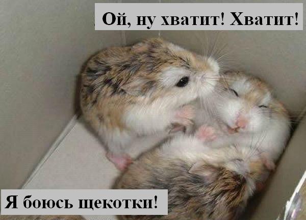 Мысли :) (50мыслей)