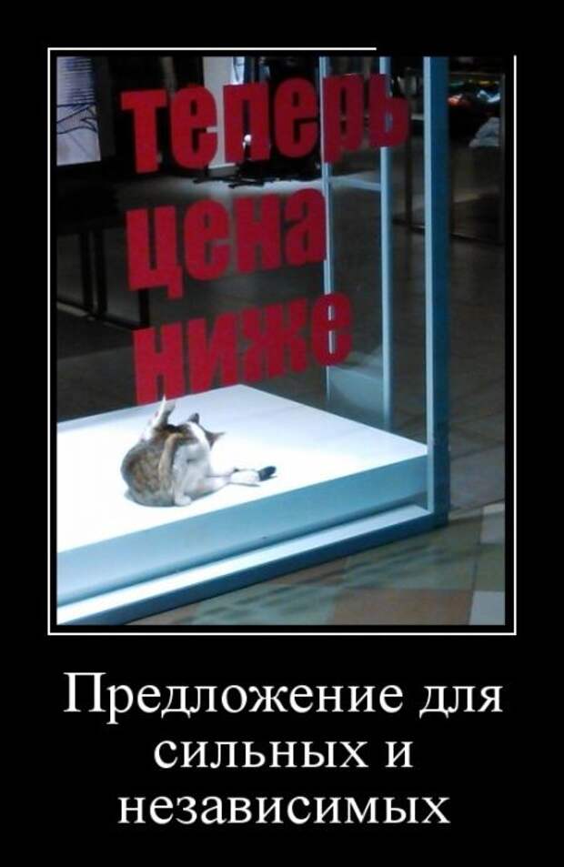 Демотиваторы (30 фото)