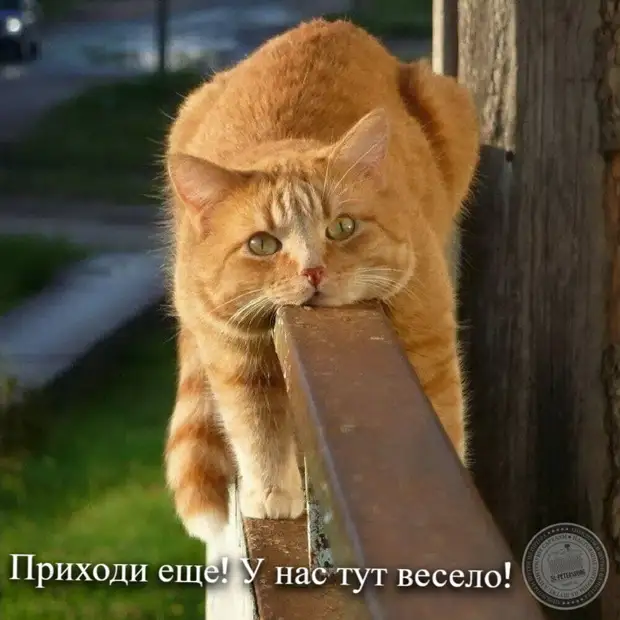 Приходи еще! У нас тут весело!