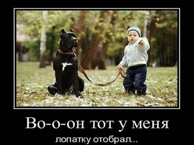 Демотиваторы. Подборка chert-poberi-chert-poberi-31500425032020-10 картинка chert-poberi-31500425032020-10