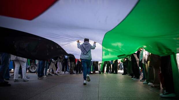 В Палестине озвучили намерение продолжать отстаивать свои права в ООН