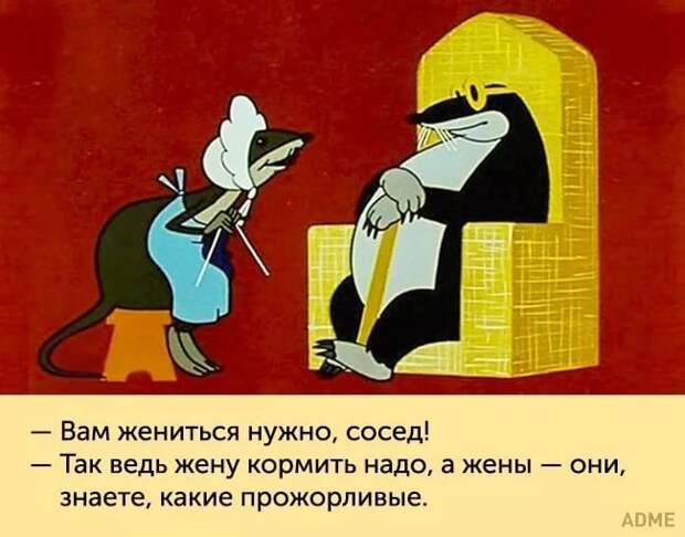 Мудрые и не очень герои мультфильмов СССР, мультфильм, ностальгия, юмор