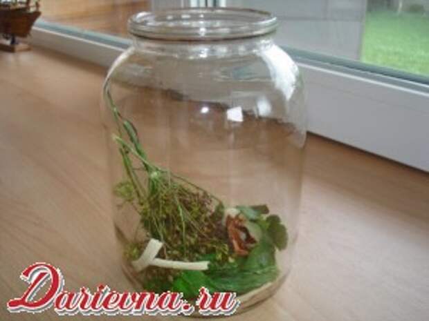 овощное ассорти на зиму