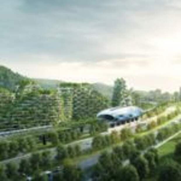 В Китае скоро начнут строить лесные города