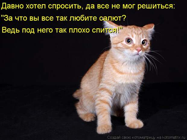 Котоматрица: Давно хотел спросить, да все не мог решиться: "За что вы все так любите салют? Ведь под него так плохо спится!"