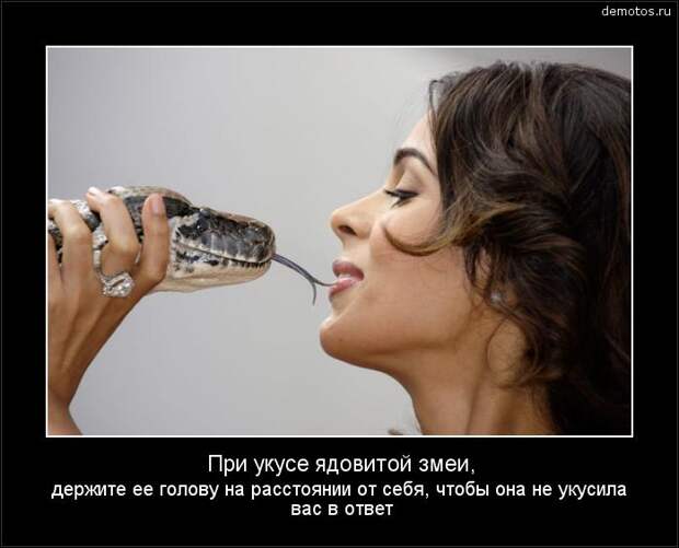 При укусе ядовитой змеи держите голову на расстоянии