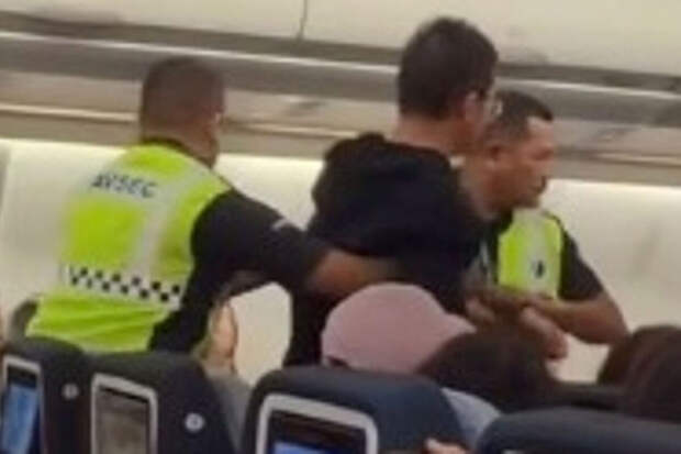 Китайца выгнали из самолета Malaysia Airlines за домогательства к стюардессе