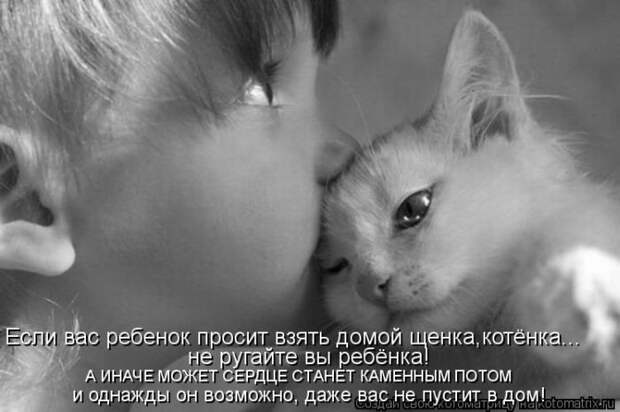 Демотиваторы и не только.