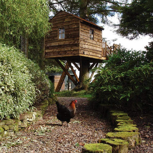 Компания Amazon Tree Houses создает удивительные уютные дома высоко над землей (15 фото - 1,74.Mb)
