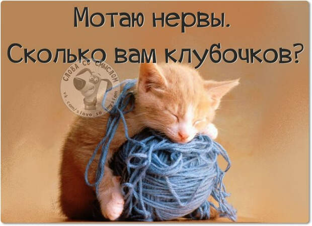 Позитивные фразочки со смыслом жизнь, картинки, смысл, фраза, цитаты, юмор