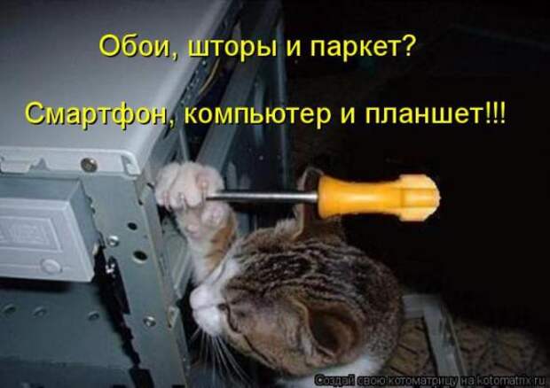 Котоматрицы(картинки с надписями)