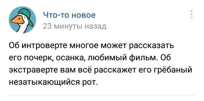 Социофобы и их жизнь полная приключений Социофобы и их жизнь полная приключений