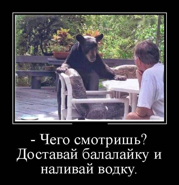 Демотиваторы (30 фото)